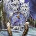 Bill Timm - Facebook