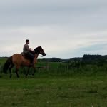 william_TIMM - @williamcavalheirotimm - Instagram