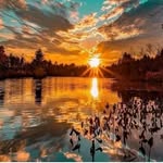 William Timothy - @williamtimothy667 - Instagram