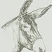 William Titcomb - Facebook