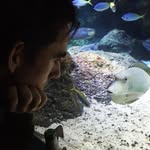 William Tite - @williamtite - Instagram
