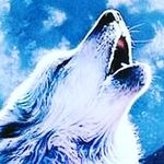 William Todaro - @todarowilliam - Instagram