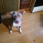 William Tolley - @williamtolley - Instagram