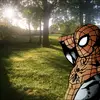 eo_Tonelli - @william.tonelli - TikTok