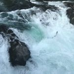 William Tooley - @life.between - Instagram