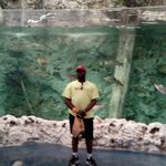 william tooley - @williamtooley69 - Instagram