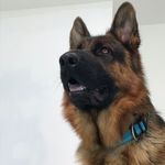 William Toomey - @bill.bumper - Instagram