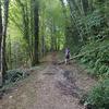 William Toomey - @william.toomey - TikTok