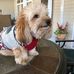 William Toothman - Facebook