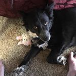 William Topping - @william_topping - Instagram