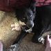William Topping - Facebook
