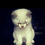 William Toribio Prada - @williamtoribioprada - Instagram