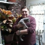 William Toth - @william.toth.3950 - Instagram
