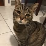 William Toth - @tothwj - Instagram