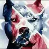 William Towne - @william.towne - TikTok