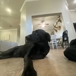 William Trago - @will20907 - Instagram