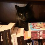 William Trépanier - @william.h.trepanier - Instagram