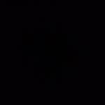 William Trepanier - @willtreps4 - Instagram