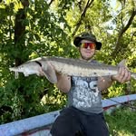 William Trepanier - @el_warwill - Instagram