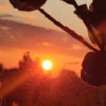 william tressler - @will.tressler2010 - Instagram