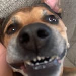 William Trewin - @_williamtrewin - Instagram