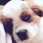 William Trinder - @trickyz_101 - Instagram