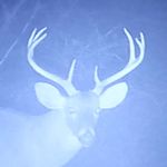 William David Trogdon - @william.d.trogdon - Instagram