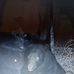 William David Trogdon - Facebook
