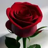 William troxell - @williamtroxell6 - TikTok