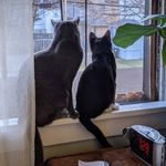 William Troyer - @william_troyer - Instagram
