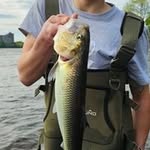 William Trudeau - @trudeau8513 - Instagram