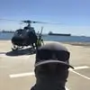 William Truman - @william.truman3 - TikTok