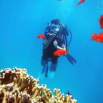 William Truman - @williamtruman72 - Instagram