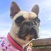 Bill Tuddenham - Facebook