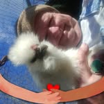 Jimmy Johnson - @tugglewilliam73 - Instagram