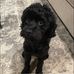 William Tull - Facebook
