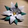 williamurg - @williamurg - TikTok