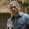 williamutter - @prisonbreak635 - TikTok