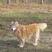 William Utterback - Facebook
