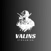 Valins - @williamvalinss - TikTok