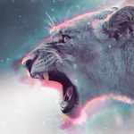 William Vallee - @nighttea - Instagram