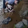 William Vandevander - @william.vandevand - TikTok