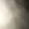 Vaneka Williams - @vanekawilliams - TikTok