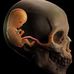 Will VanOrden - Facebook