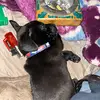 William Vanorden - @william.vanorden6 - TikTok