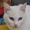 will"S - @veenstrawilliam - TikTok