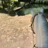 William Velarde - @william.velarde22 - TikTok