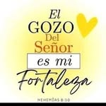 William Velarde Gastelu - @williamvelardegastelu - Instagram