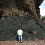 William Venne - @william.venne.1 - Instagram