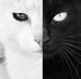 William Venters - Facebook